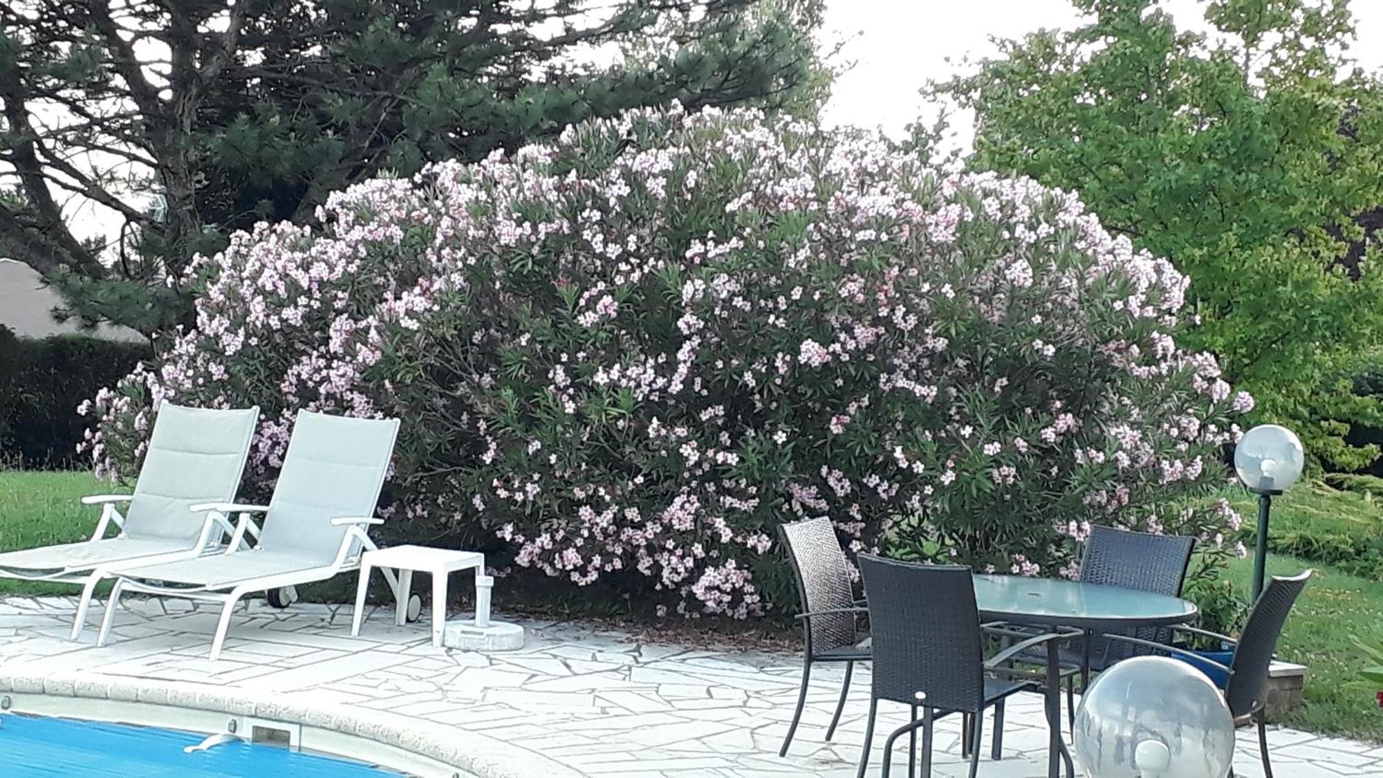 Villa Avec Vue Biviers Exteriér fotografie